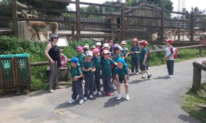 20160602_152022
