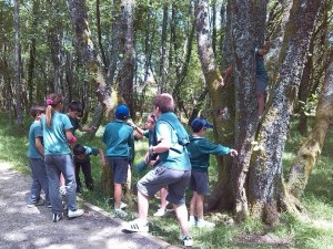 actividades de rastrexo
