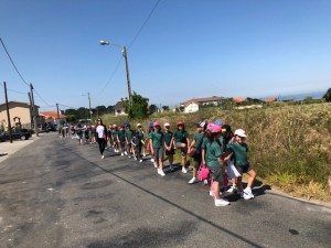 IMG_2156