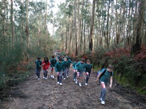 IMG_20181204_150744_559