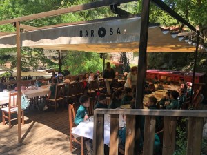 BAROSA6