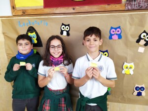 IMG_20191114_170354